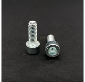 brake pad screws